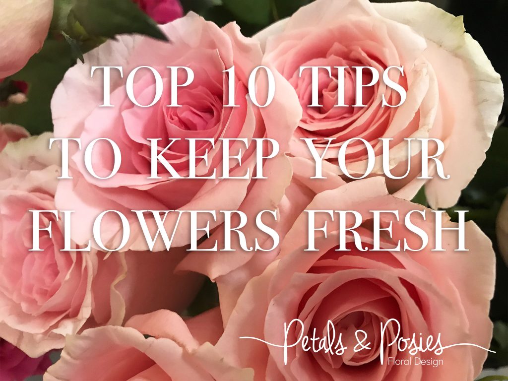 Top Tips For Fresh Flowers Petals and Posies Chandlers Ford Florist